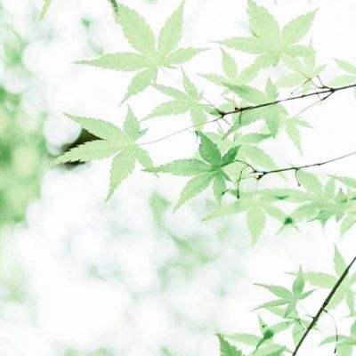 英雄王圣剑传说游戏